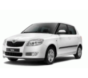 Skoda Fabia II '07-14