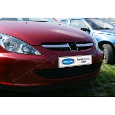 Peugeot 307 5D/3D/SW (2001-2005) Накладки на решетку радиатора 2шт