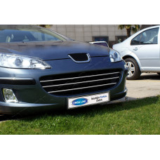 Peugeot 407 SD/SW (2004-2010) Накладки на решетку радиатора 3шт