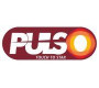 Pulso